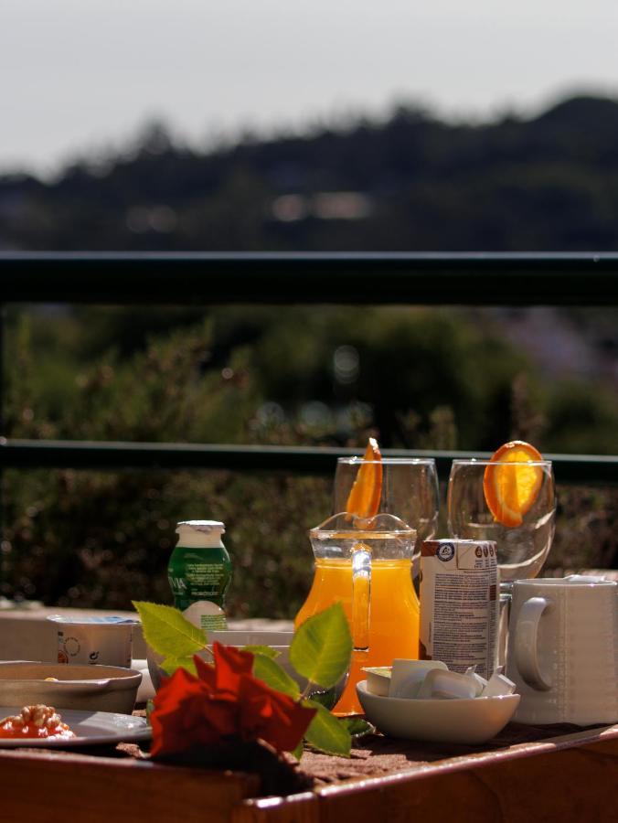 Palace Hotel E Spa Monte Rio Termas de Sao Pedro do Sul Zewnętrze zdjęcie