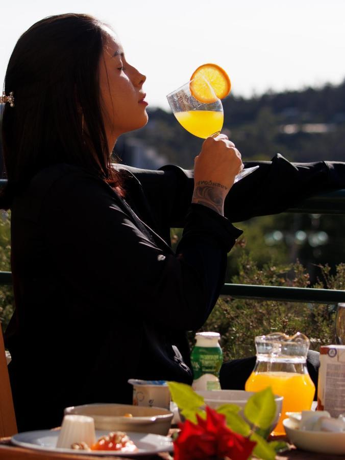 Palace Hotel E Spa Monte Rio Termas de Sao Pedro do Sul Zewnętrze zdjęcie