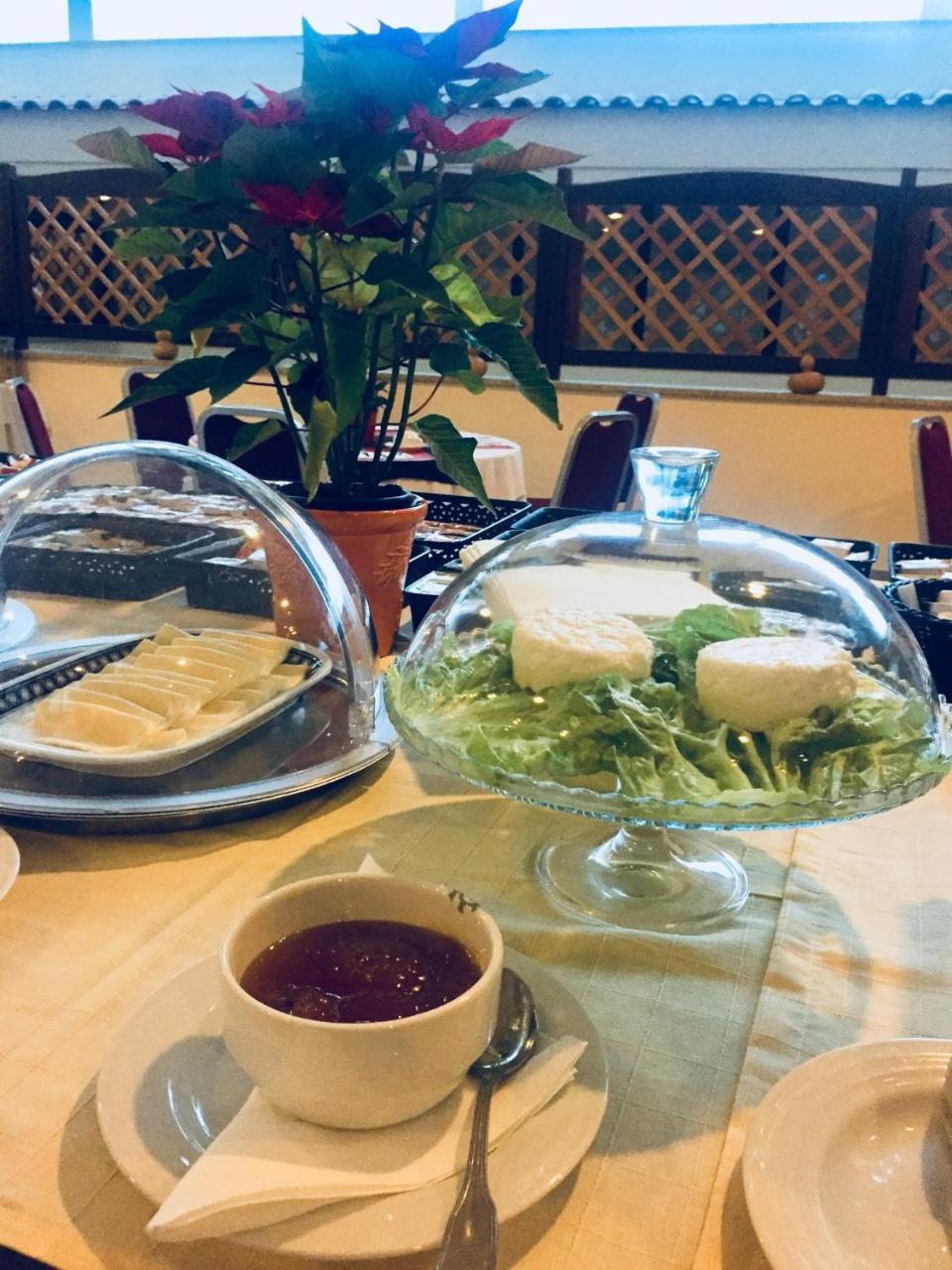 Palace Hotel E Spa Monte Rio Termas de Sao Pedro do Sul Zewnętrze zdjęcie